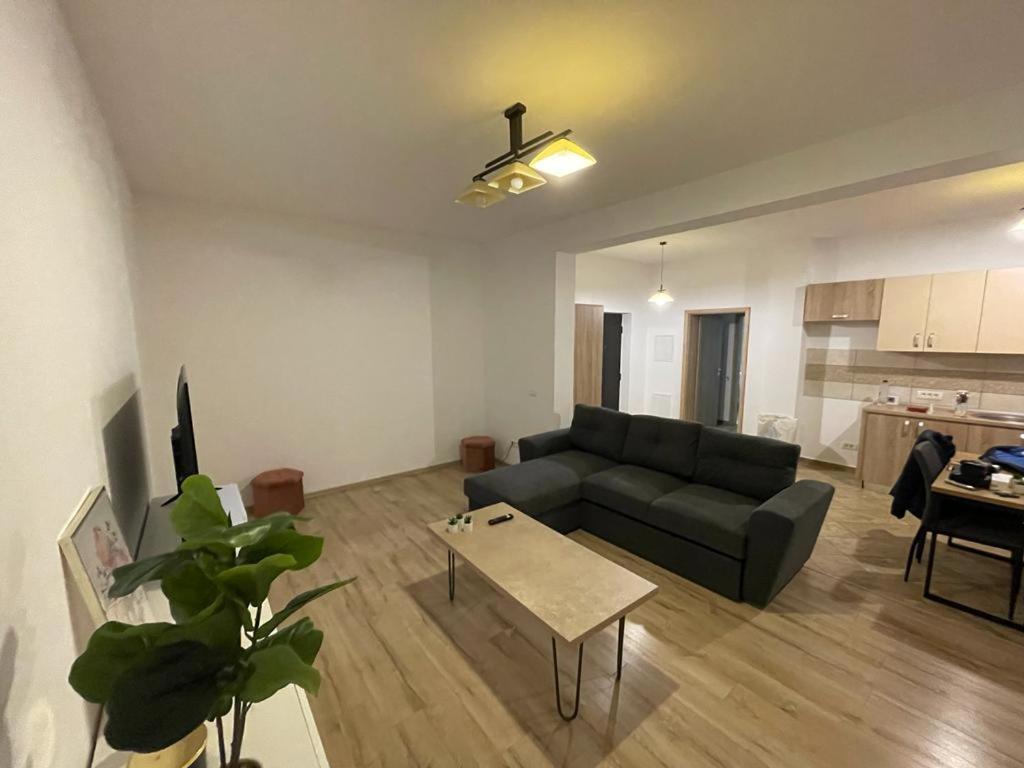 Apartment Ama Timisoara